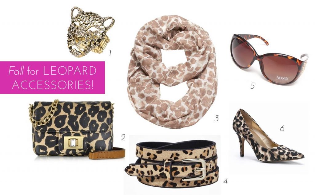 Midtown Girl by Amy Chandra - 6 Leopard Accessories For Your Fall Wardrobe