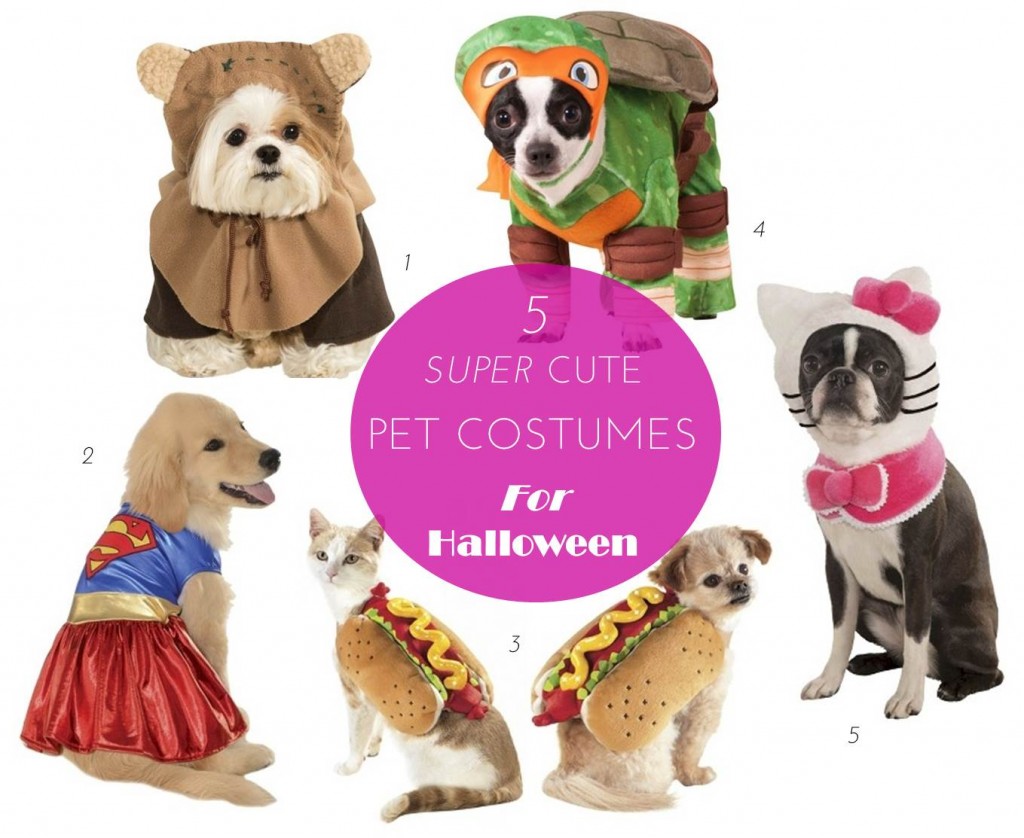 Midtown Girl by Amy Chandra - Super Cute Pet Costumes For Halloween